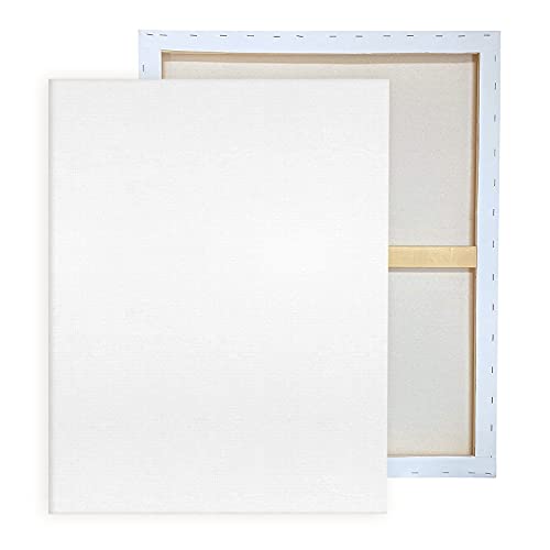 Pre Stretched Canvases for Painting 24x36" 2 Pack Large Blank Canvas Boards for Acrylic Pouring and Oil Painting, 100% Cotton, 5-Time Gesso Primed