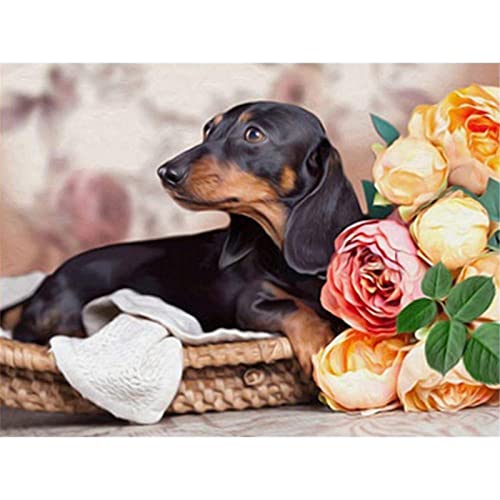 Zimal Dachshund Full 5D DIY Diamond Painting Cross-Stitch Dog&Flower 3D Diamond Painting Full Rhinestones Paintings Embroidery Gifts 11.8 x 15.8 Inch