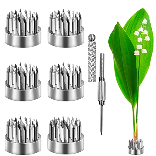 6 Pieces Flower Frogs Kenzan Ikebana Flower Arrangers Floral Fixed Tools Japanese Flower Pin Holder Set with 2 in 1 Kenzan Needle Straightener for Small Vase Flower Arrangement (Silver, 0.91 Inch)