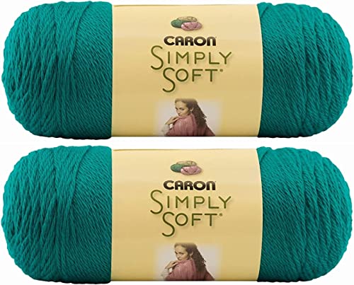 Bulk Buy: Caron Simply Soft Yarn Solids (2-Pack) (Cool Green)