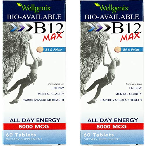 Wellgenix Bio-Available Sublingual B12 Max - Formulated for High Absorption - Nutritional Multivitamin B12, B6, Folate - Fast Dissolve (60 Ct) 2 Pack