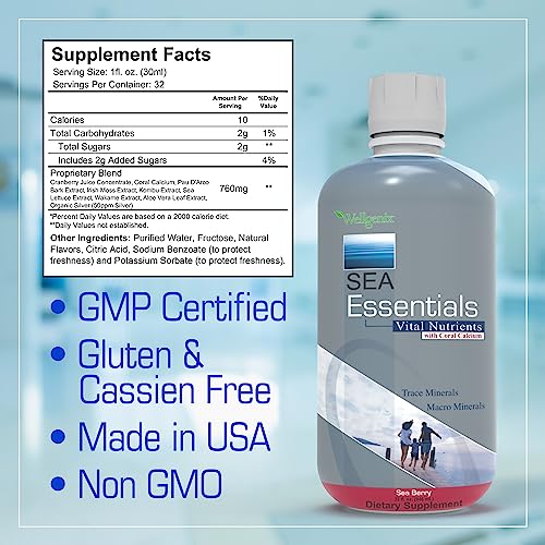 Wellgenix Sea Essentials Coral Calcium Liquid Vitamin for High Absorption - Nutritional Multivitamin Supplement - Sea Berry Flavor (32 oz) (1 Pack)