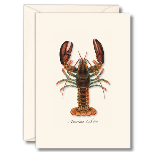 Earth Sky + Water - Lobster Notecard Set - 8 Blank Cards with Envelopes