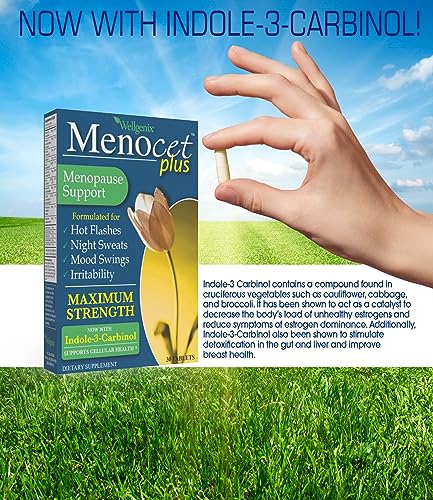 Wellgenix Menocet Plus Menopause Support - All-in-One Menopause Supplement - Daily Relief Feminine Care - Hot Flashes, Night Sweats, Mood Swings & Irritability - 30 Tablets (Pack of 2)