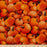 Harvest Time Pumpkins Orange, Fabric by the Yard