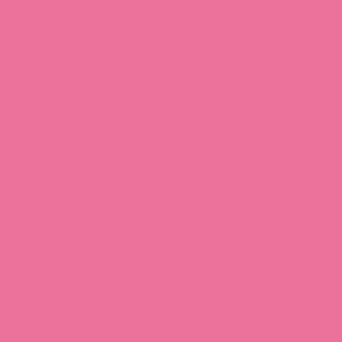 Tulip Dimensional Fabric Paint 41410 Dfpt 4Oz Slick Neon Pink, 4 Fl Oz (Pack of 1)