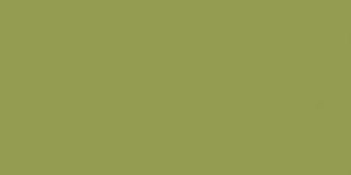 Dritz Dylon 87034 Permanent Fabric Dye, Olive Green, 1.75-Ounce
