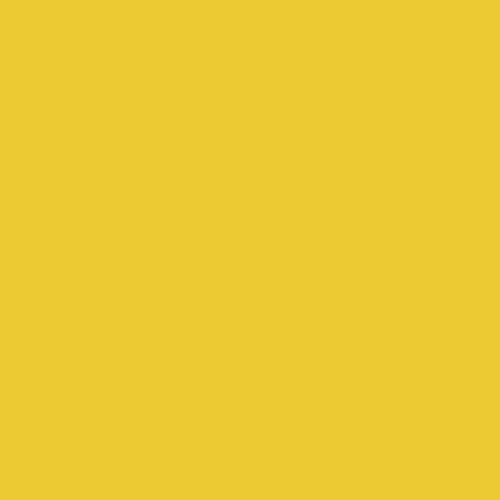 Jacquard Products Jacquard Dye-Na-Flow Liquid Color 8oz-Golden Yellow