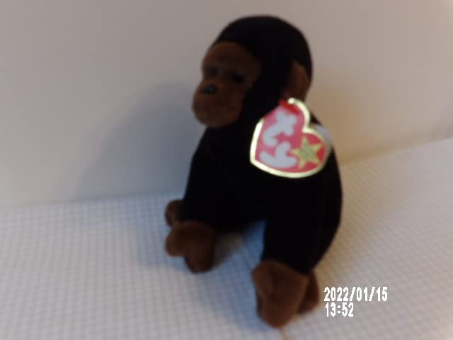 Ty Beanie Baby ~ CONGO the Gorilla ~ MINT with MINT TAGS ~ RETIRED ,#G14E6GE4R-GE 4-TEW6W208765