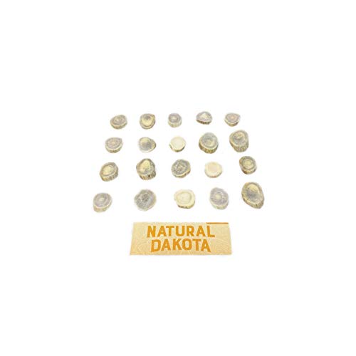 Natural Dakota Deer Antler Beads/Slices (Crafts, Jewelry Making, Beading Supplies) (Small)