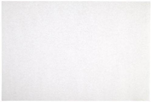 Sax Sulphite Drawing Paper, 80 lb, 9 x 12 Inches, Extra-White, Pack of 500 - 053943