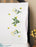 Tobin Stamped Pillowcase Pair for Embroidery, 20 by 30-Inch, Buttercups