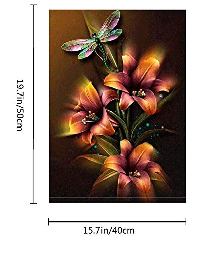 CANDYL DIY Oil Painting Paint by Number Kit for Kids Adults Students Beginner Diy Canvas Painting by Numbers Acrylic Oil Painting Arts Craft for Home Wall Decoration Lily Flower Dragonfly 16x20 Inch