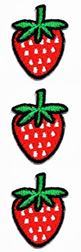 Set 3 Pcs Mini Small Red Fruit Strawberry Cartoon Stickers Patches Iron On Sewing Embroidered Patches Badge Applique Logo Clothes Jacket Jeans Cap Backpacks for Kids or Gift Set (01)