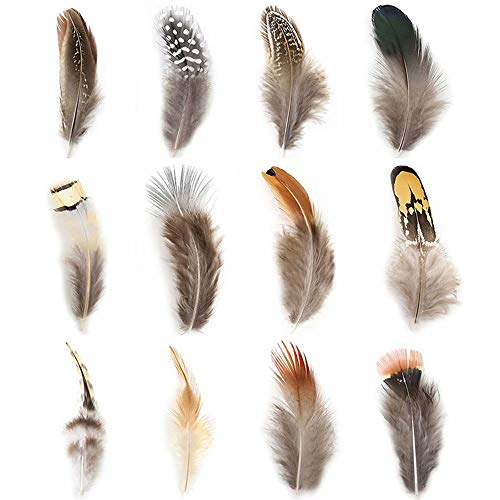 360pcs 12 Styled Natural Feathers Assorted Mixed Feathers for Jewelry and Dream Catcher Crafts