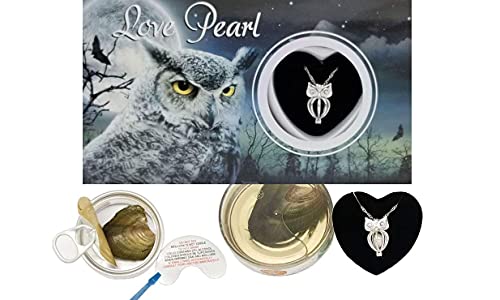 Owl Love Wish Pearl Kit Chain Necklace Kit Pendant Cultured Pearl in Kit Set with Stainless Steel Chain 16\