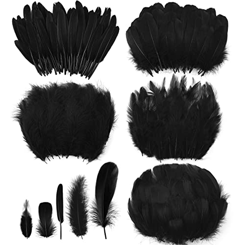 500 Pcs Halloween Black Assorted Crafts Feathers 4 Styles Mixed Feathers Black Feathers for Crafts Chicken Turkey Goose Feathers Supplies for DIY Wedding Home Party Costume Clothing Accessories