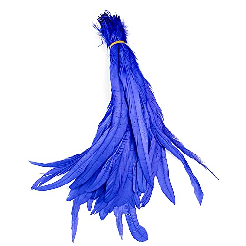 FEARAFTS Natural Rooster Feathers for Crafts Hats Costume Decoration Pack of 50 (Royal Blue)