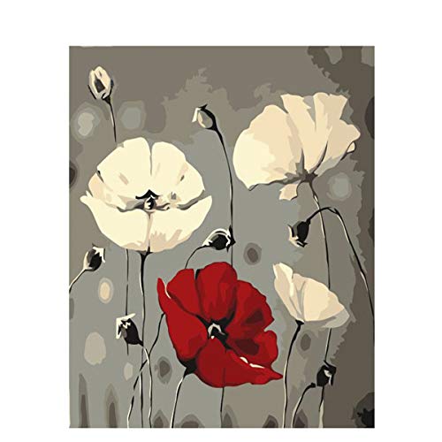 Paint by Numbers for Adults Kids Kits Flowers Poppies Oil Acrylic Paint Easy for Beginners Color DIY Paintings Art Set for Wall Home Décor bsj
