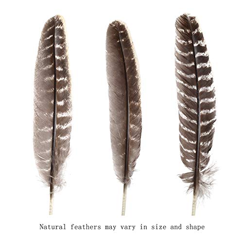 20pcs Natural Turkey Feathers Bulk 10-12 inch Wild Turkey Feather for DIY Crafts Project Collection Wedding Decoration Erikord