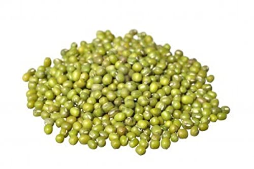 Todd's Seeds® Sprouting Seeds Mung Bean, Chinese Bean Sprouts, 5 Pounds