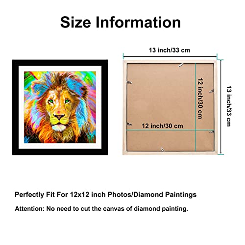 Betionol Diamond Painting Frames, Display 12x12in/30x30cm Diamond Painting Pictures or Photos, Black Natural Solid Wood Picture Frame with Acrylic Protection Glass, Back Mat And Hanging Kit
