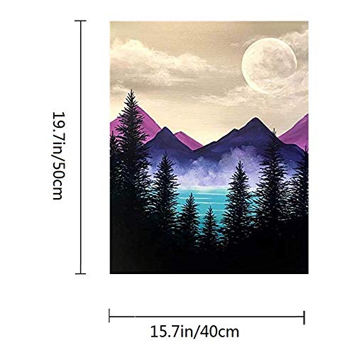 ACANDYL Adults Paint by Number DIY Paint by Number Kit for Adults Kids Beginner DIY Canvas Painting by Numbers Painting Acrylic Painting Home Decoration Paint by Number Mountains 16x20 Inch