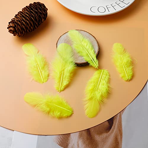 Larryhot Yellow Craft Feathers Bulk - 240pcs 6 Style Mixed Natural Feathers for Wedding Home Party, Dream Catcher Supplies and DIY Crafts (Yellow)