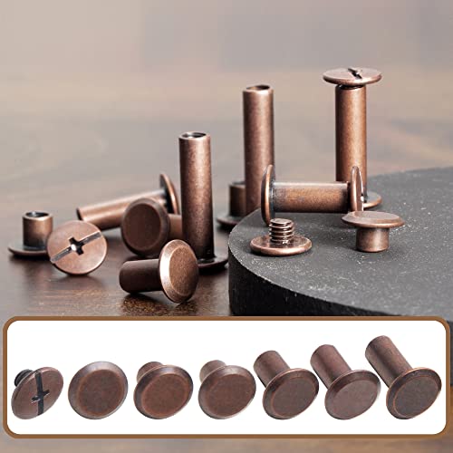 YORANYO 110Sets Chicago Screws Leather Rivets Assorted Screw Rivets M5 Chicago Binding Screws for Decorate and Repair Leather Craft Belt Bag Shoes Purse Bookbinding (Antique Copper, M5*4,5,6,8,10,12)