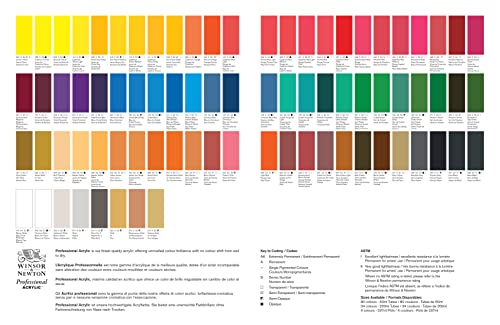 Winsor & Newton Professional Acrylic Color, 200ml (6.75oz) tube, Quinacridone Magenta