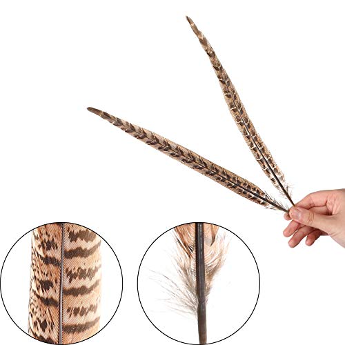 AWAYTR 20pcs Natural Pheasant Feathers - Pheasant Tail 8-11inch(21-28cm) for DIY Decoration (Female Pheasant Tail)