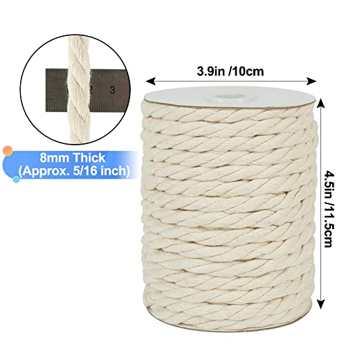 Tenn Well 8mm Cotton Cord, 59 Feet 3Ply Twisted Macrame Cotton Rope for Crafts, Wall Hangings, Plant Hangers, Knotting (Beige)