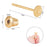 BENECREAT 50 Sets 18K Gold Plated Flat Earring Studs with Ear Nuts for DIY Earring Jewelry Making