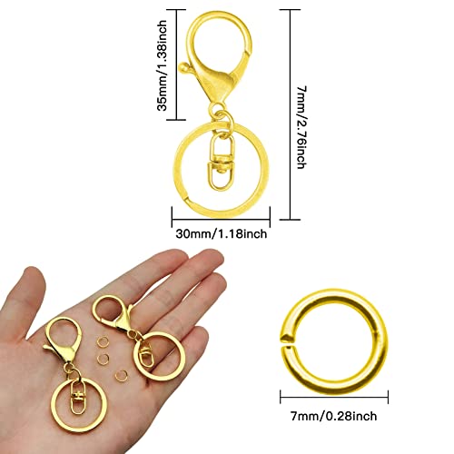 30pcs Lobster Clasp Keychain for Jewelry Making,Metal Lobster Clasp Swivel Trigger Clips with Swivel Clasps Hook Clips Flat Split Keychain Ring 100Pcs Open Jump Ring for DIY Craft(18K Gold)