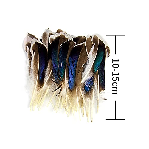 50Pcs Natural Feathers for Crafts 4-6inch（10-15cm）DIY Carnival Halloween Handwork Clothing Costumes Hair Hats Crafts Home Wedding Party Decoration Duck Feathers