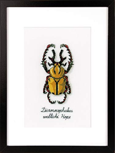 Vervaco Golden Beetle, 40 x 2 x 20 cm, Multi-Colour