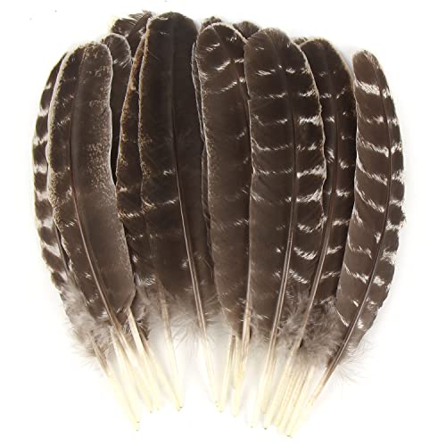 CCINEE 15pcs Natural Turkey Feather, 10-11 Inches Wild Turkey Feathers for Craft Costume Bridesmaid Corsage Wreath and Home Decoration