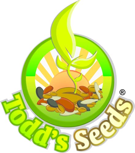 Todd's Seeds® Sprouting Seeds Mung Bean, Chinese Bean Sprouts, 5 Pounds