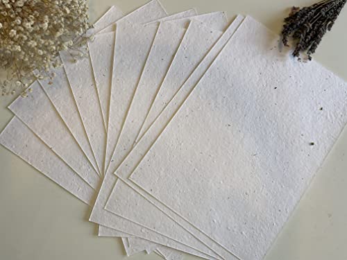 A4 & A5 Plantable Seed Paper / Card - Eco Friendly Print at Home Craft Paper with Wildflower Seed Mix (A5)