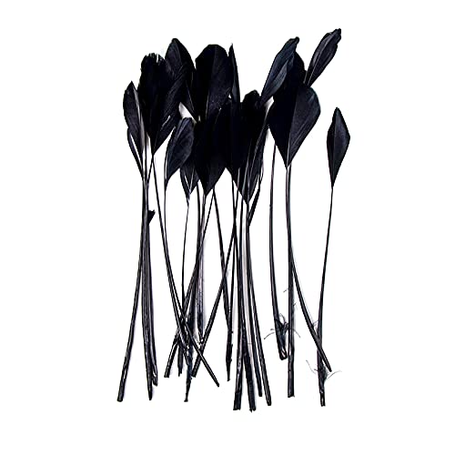 FEARAFTS Natural Black Feathers for Hats Making Fascinators Decoration Stripped Coque Feather Pack of 50 (Black)