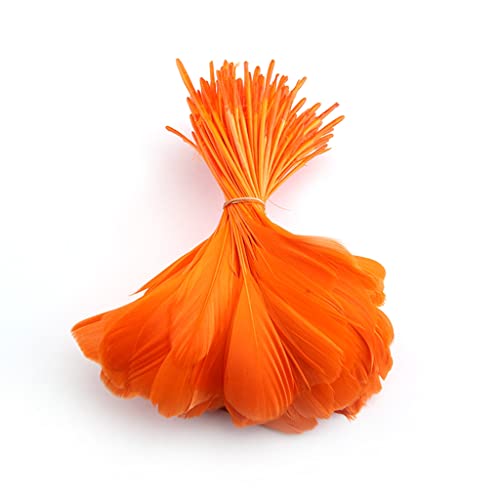 Shekyeon Goose Feather Plume Stripped Coque Feather for Clothing Hat Craft Decoration Pack of 50pcs (Orange)