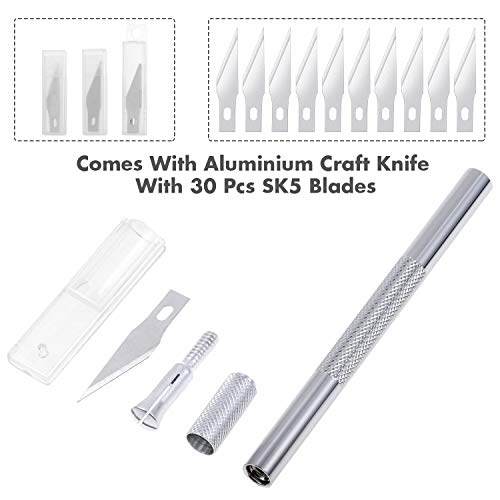 Anezus Craft Knife Precision Cutter and Self Healing Cutting Craft Mat Hobby Knife Set with 30 PCS Hobby Blades Art Knife for Art Hobby Craft Scrapbooking Stencil