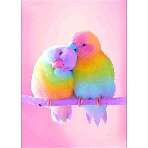 5D DIY Diamond Painting Colorful Bird, Embroidery Cross Stitch Craft Kit Modern Arts Crafts Full Drill Great Gift Idea for Women and Girls Bedroom Living Room Decor 12x16 inch (30x40 cm)