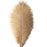 Sowder 6-8inch(15-20cm) Ostrich Feathers Plume for Wedding Centerpieces Home Decoration Pack of 50 (Champange)