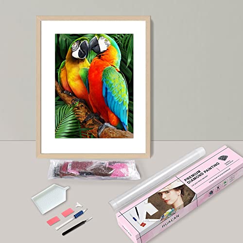 Huacan Parrot Diamond Painting Kits, Full Drill Square Diamond Painting Kits for Adults, Diamond Art Home Wall Decor 11.8x15.7in/30x40cm