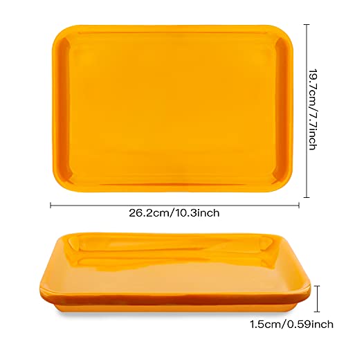 Plastic Art Trays Art and Craft Tray Plastic Tray,5 Pieces Stackable Activity Tray Crafts Organizer Tray Serving Tray Jewelry Tray for DIY Projects, Painting, Beads (10.3 x 7.7 x 0.4 Inches)