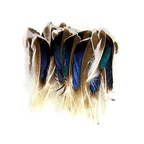 50Pcs Natural Feathers for Crafts 4-6inch（10-15cm）DIY Carnival Halloween Handwork Clothing Costumes Hair Hats Crafts Home Wedding Party Decoration Duck Feathers