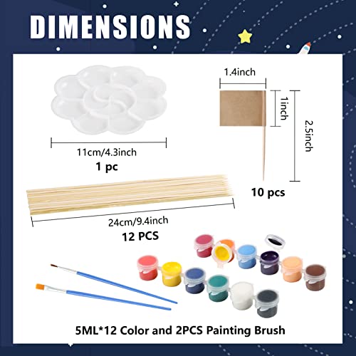 Pllieay 63PCS Solar System Foam Ball Kit Includes Color Pigments, Palette, Mixed Sized Polystyrene Spheres Balls, Toothpick Flag, Painting Brushes, Bamboo Sticks for School Science Projects
