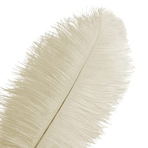 Piokio 20 pcs Natural Champange Ostrich Feathers 12-14 inch(30-35 cm) Bulk for Wedding Party Centerpieces,Gatsby Decorations