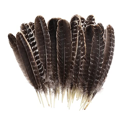 20pcs Wild Turkey Feathers Decoration - Feather for Craft Headdress Home Wedding Centerpieces 8-10inch